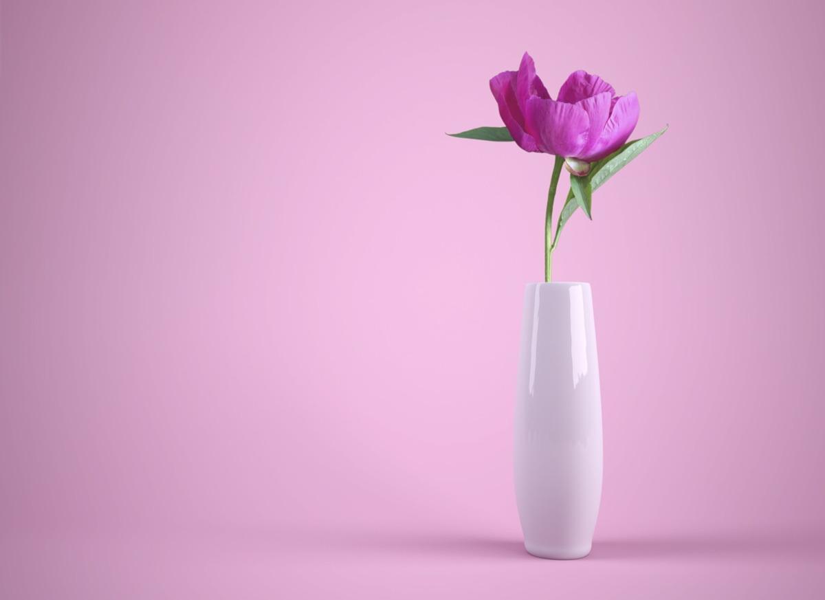 background_fiore_viola_vaso.jpg